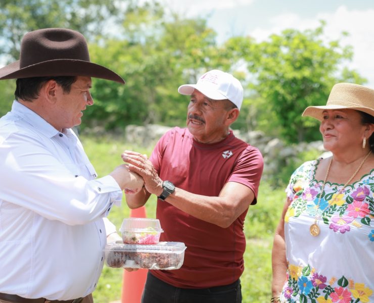 Motul cultiva con el sol: riego solar potencia la producción agrícola