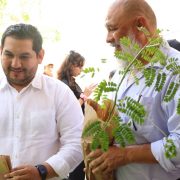 ¡Jornada de reforestación en la UPY impacta al futuro verde!