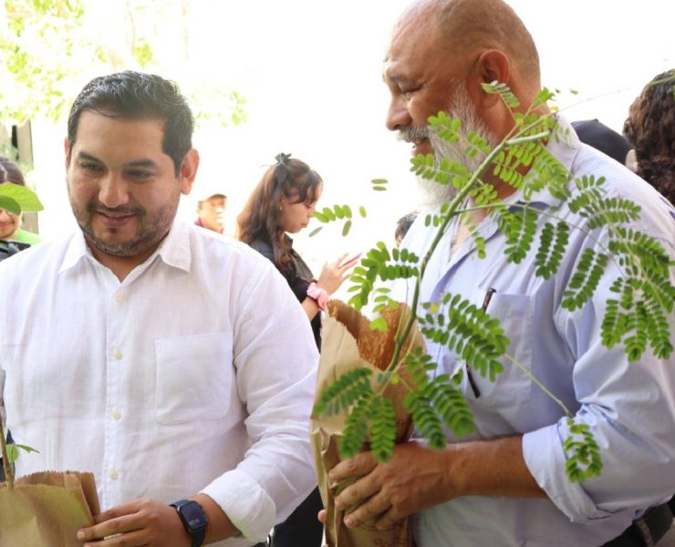 ¡Jornada de reforestación en la UPY impacta al futuro verde!