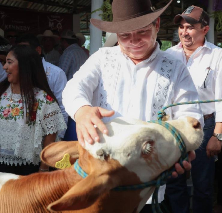 ¡Sucilá recibió histórico respaldo con millonaria inversión!