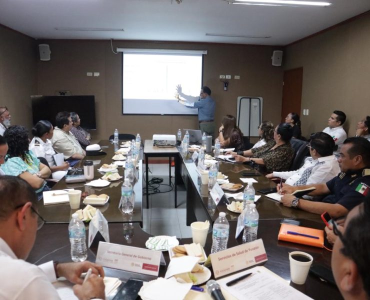 Comité interinstitucional descarta presencia de marea roja en Yucatán