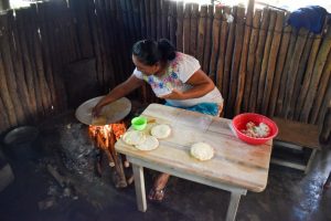 Comunidades mayas presentan experiencias auténticas que fomentan el turismo comunitario en Yucatán, mostrando su riqueza cultural y natural.