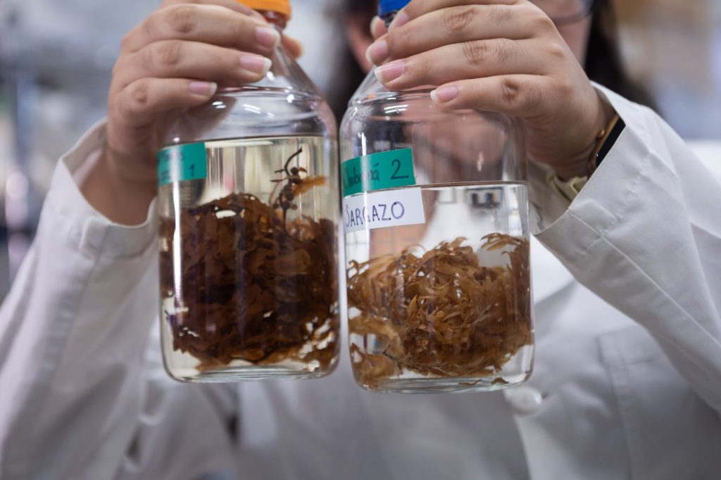 Ciencia y tecnología al servicio del ecosistema