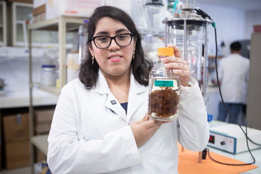 El poder del conocimiento y la colaboración