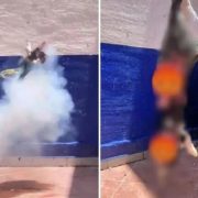 ¡Indignante! Estudiantes matan a gatito con pirotecnia y lo presumen | IMÁGENES FUERTES