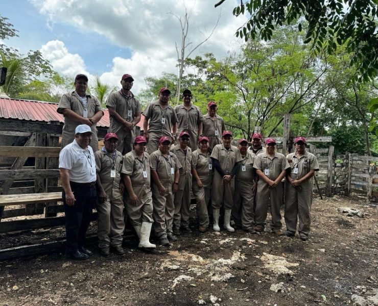 Gobierno del Estado intensifica control del gusano barrenador en Yucatán