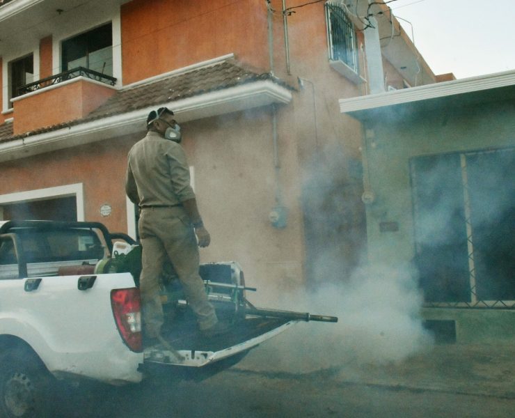 Gobierno del Renacimiento Maya reduce incidencia de dengue en Yucatán
