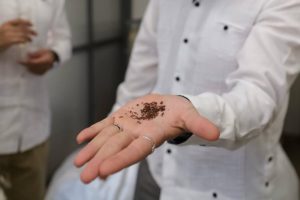 El laboratorio de investigación aplicada de IEM impulsa el desarrollo de bioproductos innovadores a partir del sargazo en Yucatán.