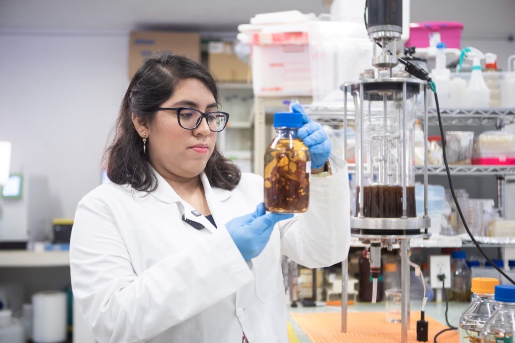 Una nueva visión para Yucatán