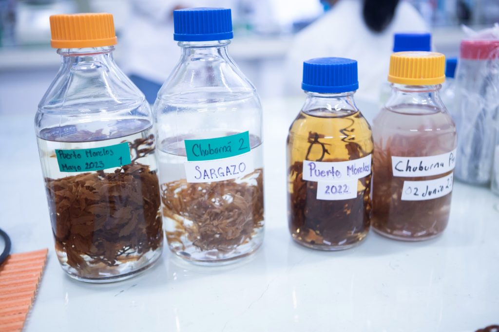 Yucatán será sede del Foro de Innovación Tecnológica