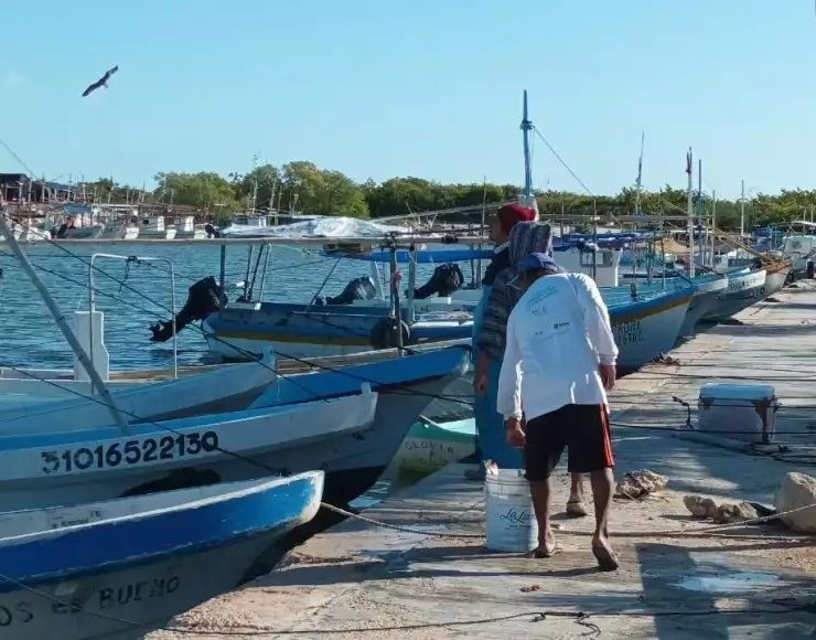 ¡Alerta en el mar! Pescadores de Yucatán enfrentan crisis por la Marea Roja