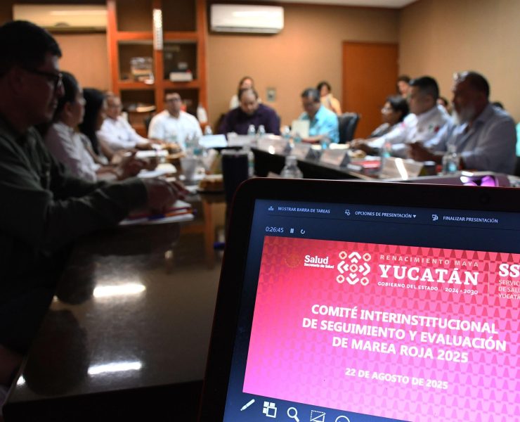 Playas bajo vigilancia: Yucatán activa banderas por marea roja