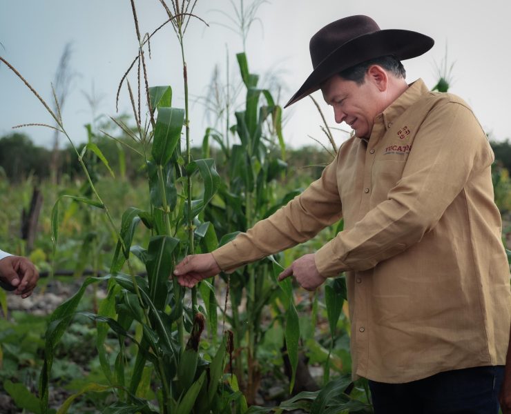 Renace el campo: Díaz Mena supervisa construcción de caminos sacacosechas en Kinchil