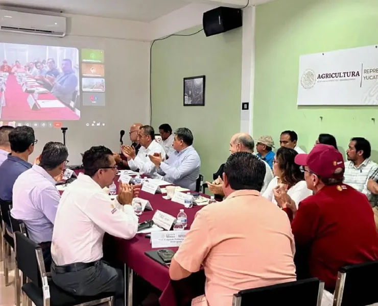 Estabilizar el precio de la tortilla medida urgente en Yucatán