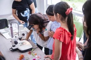 Participantes de todas las edades podrán competir en la Expo Ciencias Yucatán 2025, buscando ganar premios y reconocimiento a nivel estatal y nacional.