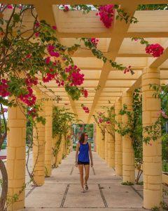 El Parque de las Américas en Mérida, un ícono cultural que celebra 80 años de historia y tradición.