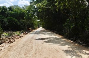 Los nuevos caminos sacacosechas en Samahil forman parte de un plan estatal que fortalece al campo yucateco.