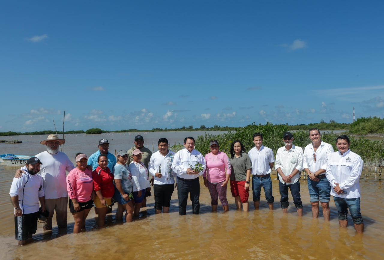 El rescate verde de Yucatán: una estrategia sin precedentes para sus ecosistemas costeros