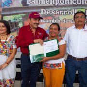 ¡Justicia para la abeja maya! Inicia el registro oficial de meliponicultores en Yucatán