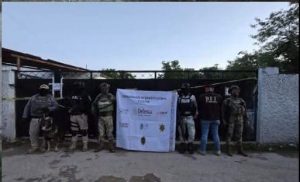 Durante el operativo en Ixil, las autoridades incautaron cannabis, cocaína y metanfetamina, logrando tres detenidos y droga asegurada en Ixil gracias a denuncias ciudadanas.