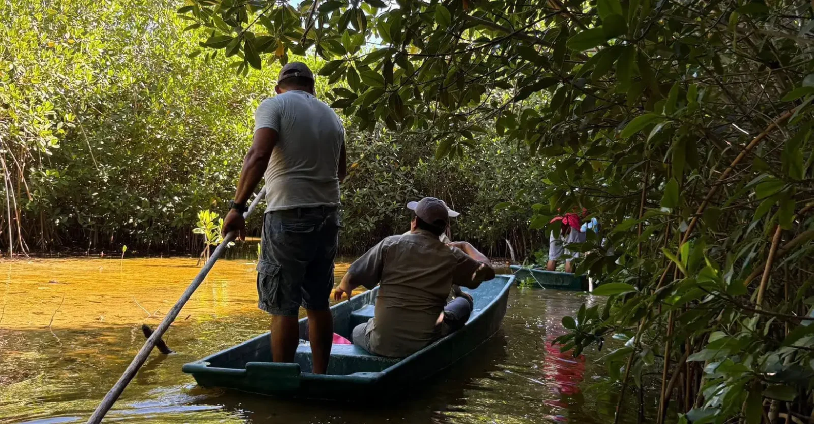 Recuperación de Manglares en Yucatán Familias de Sisal hacen historia