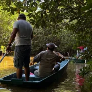 Recuperación de Manglares en Yucatán Familias de Sisal hacen historia