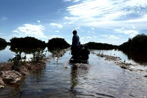 Mujeres y hombres trabajan juntos en brigadas y apertura de canales, apoyando el plan de reforestación de manglares en Yucatán.