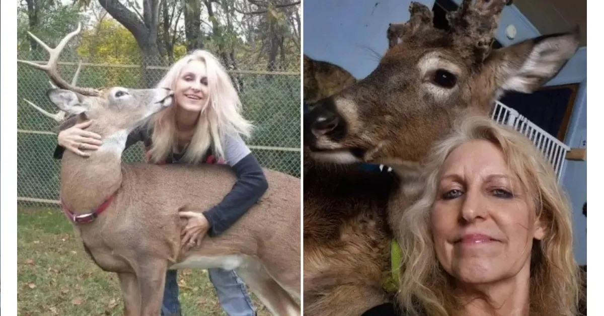 Impactante: Activista fallece al ser atacada por el venado que intentó proteger