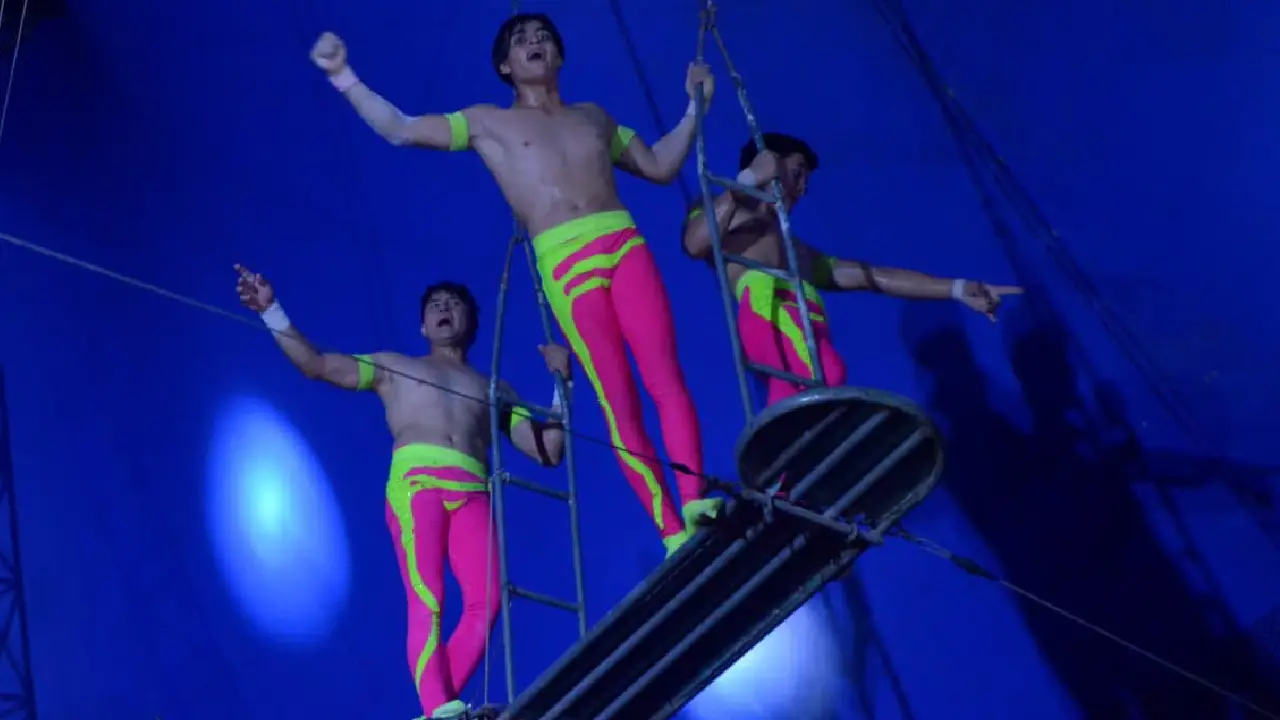 Descubre el Circo en la Feria de Xmatkuil Una tradición de décadas