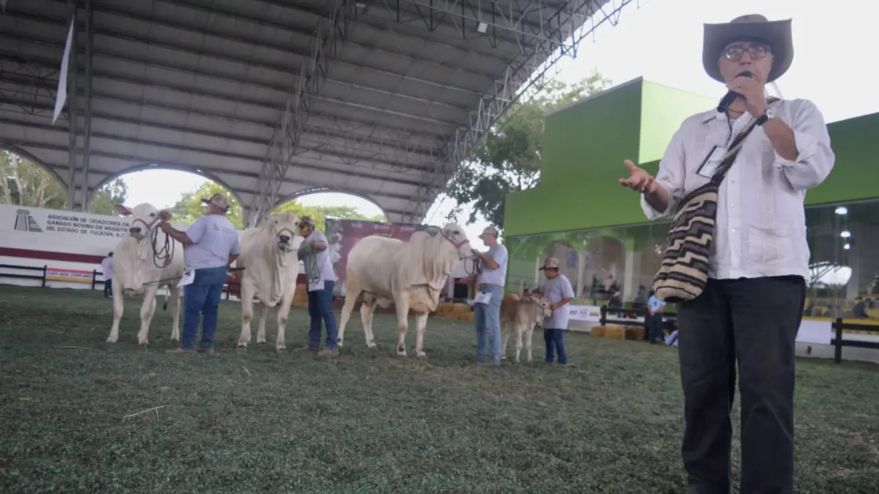 Detalles destacados de la Competencia de ejemplares bovinos de la raza Nelore