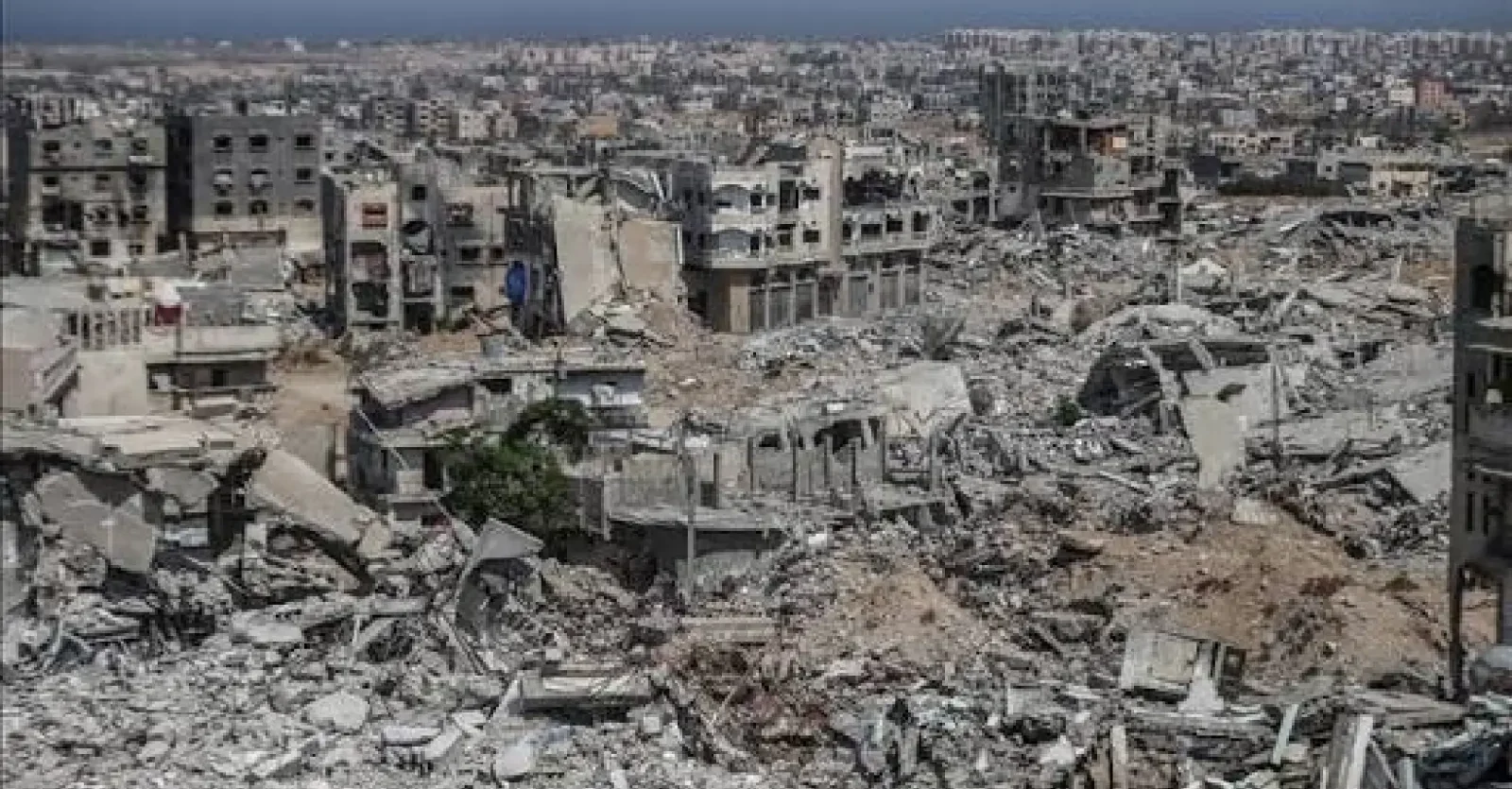 Movimiento por el cierre de intercambio con empresas que apoyan el genocidio