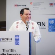 Renacimiento Verde: Yucatán ejemplo regional de desarrollo sustentable y protección de la biodiversidad