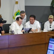 Yucatán actúa estrategia total contra el gusano barrenador