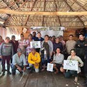 Ciencia comunitaria al rescate de los manglares