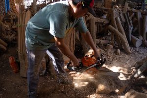 Feria Navideña en Dzityá inicia con el encendido de luces navideñas y la presentación de bailes regionales, llenando de color, música y tradición el corazón de Dzityá.