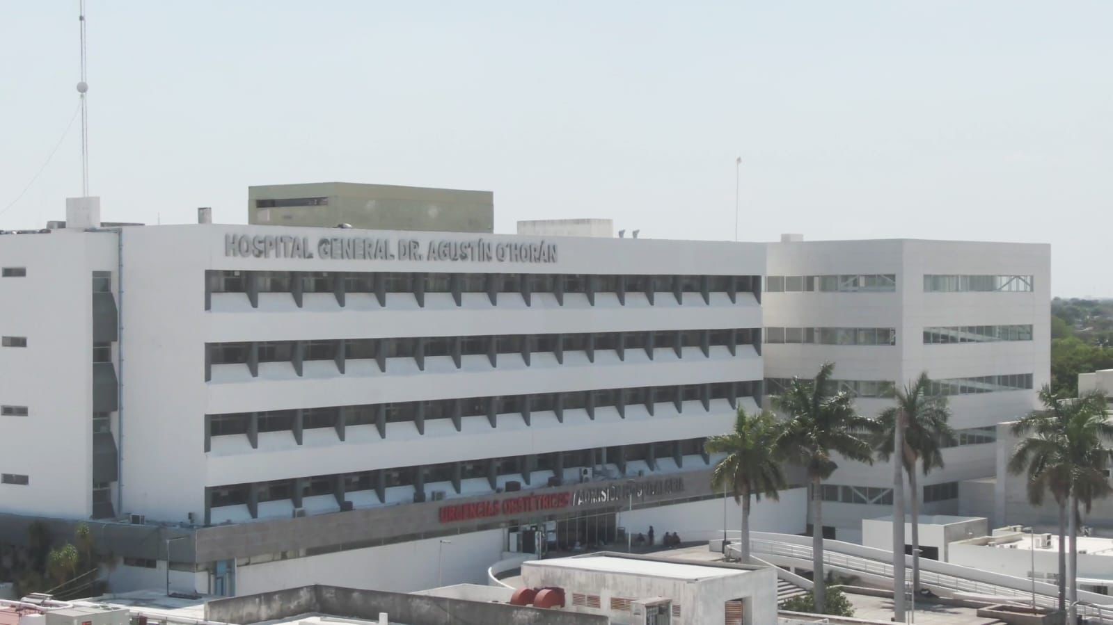 La Navidad y sus primeras horas llenan de vida a hospitales de la SSY