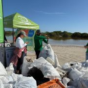 Playas Limpias: Retiran más de 33 toneladas de residuos de playas yucatecas durante el año