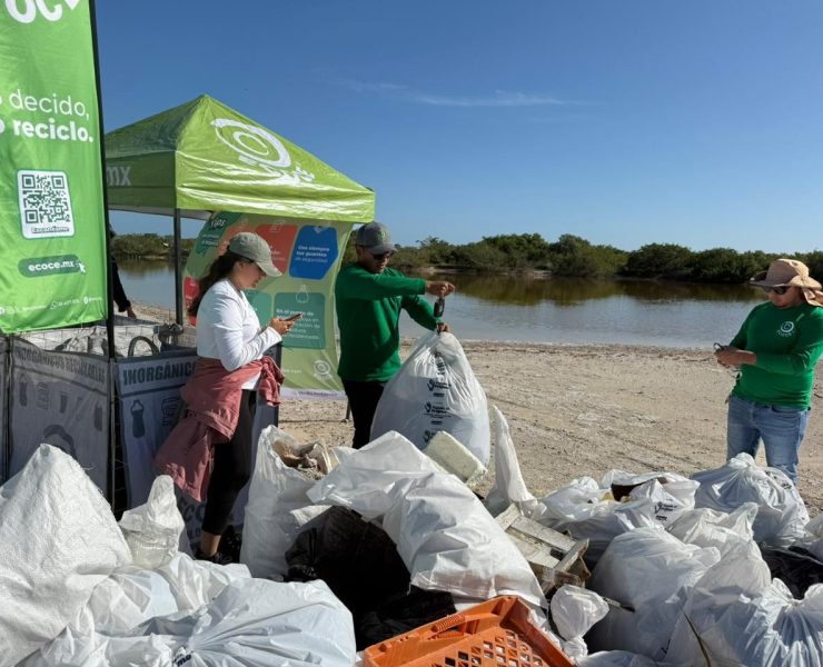 Playas Limpias: Retiran más de 33 toneladas de residuos de playas yucatecas durante el año