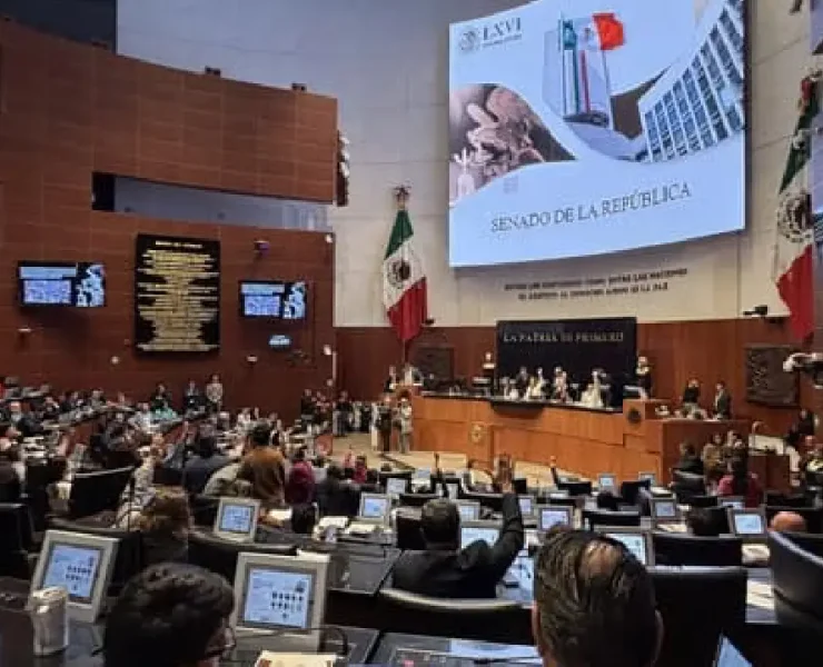 Protección de los derechos de las mujeres avanza