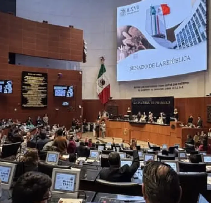 Protección de los derechos de las mujeres avanza