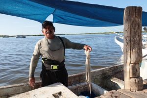 La Exitosa temporada de pulpo impulsó la economía de los puertos yucatecos, beneficiando a miles de familias que dependen de la pesca en la costa de Yucatán.