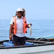 Resultados económicos de la Exitosa temporada de pulpo