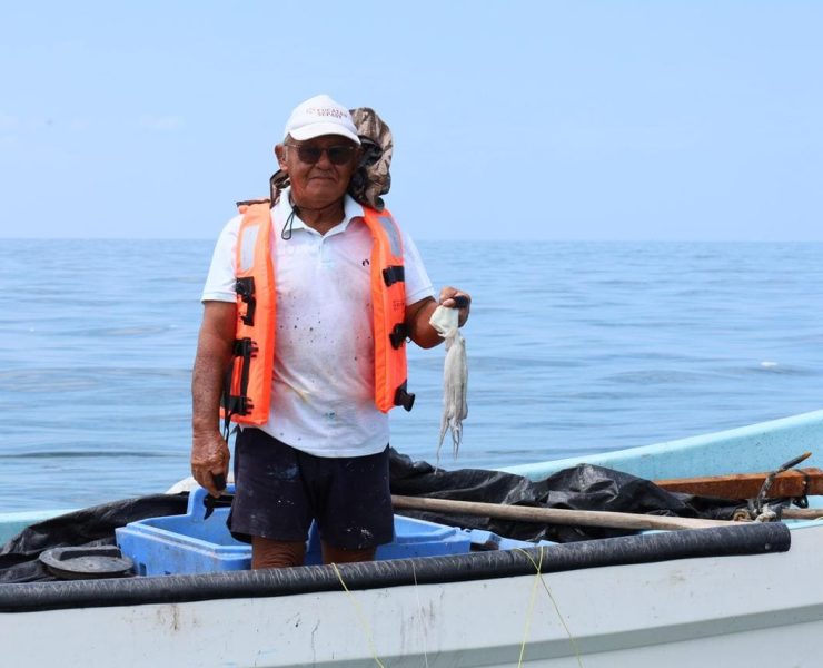 Resultados económicos de la Exitosa temporada de pulpo