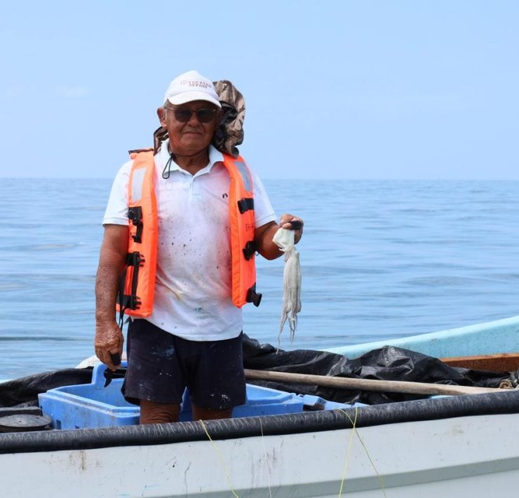 Resultados económicos de la Exitosa temporada de pulpo