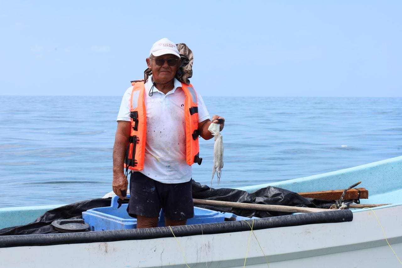 Resultados económicos de la Exitosa temporada de pulpo