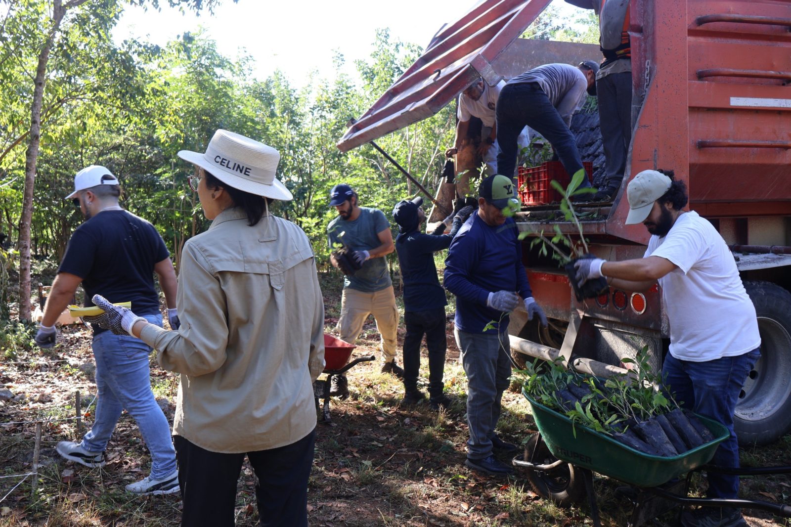 SDS recibe 50 mil plantas nativas para reforzar reforestación en Yucatán