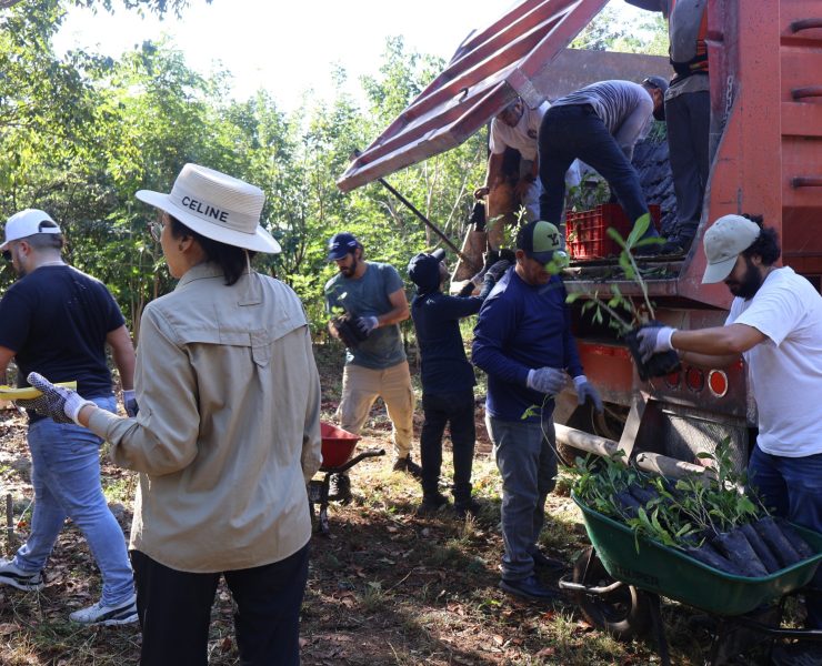 SDS recibe 50 mil plantas nativas para reforzar reforestación en Yucatán