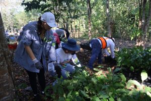 La alianza con Plant for the Planet fortalecerá proyectos de restauración ecológica y educación ambiental