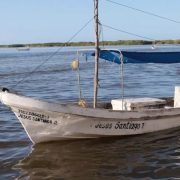 Yucatán impulsa su pesca: aumenta la cuota de pulpo a 32 mil toneladas