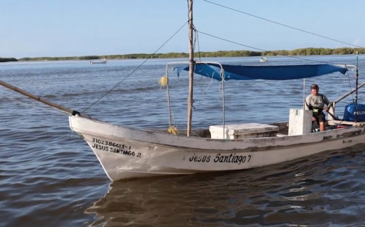 Yucatán impulsa su pesca: aumenta la cuota de pulpo a 32 mil toneladas